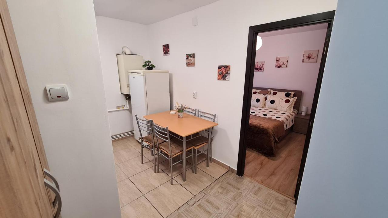 Iali Apartment Sinaia Exterior photo
