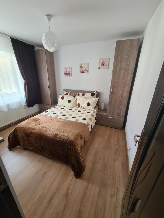 Iali Apartment Sinaia Exterior photo