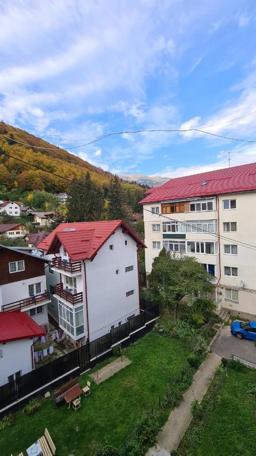 Iali Apartment Sinaia Exterior photo
