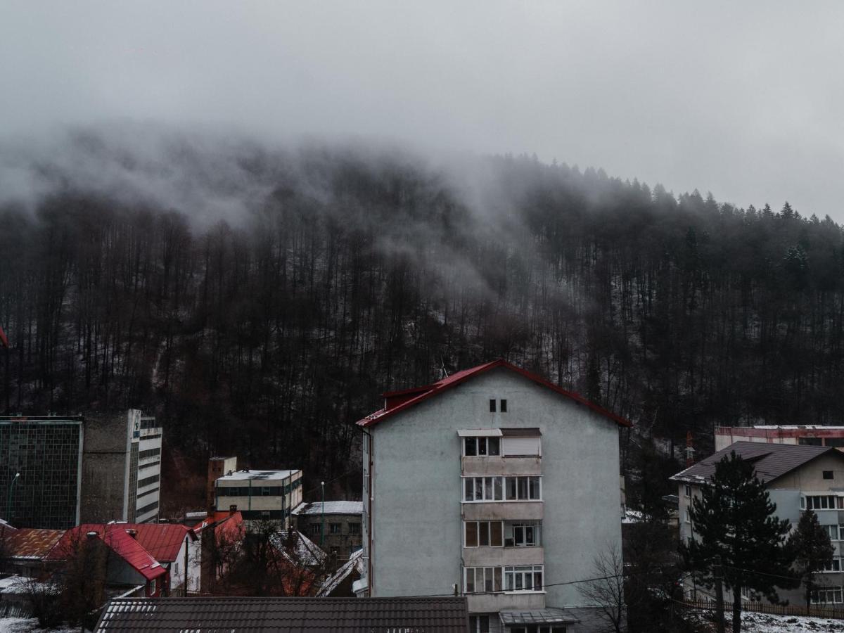 Iali Apartment Sinaia Exterior photo